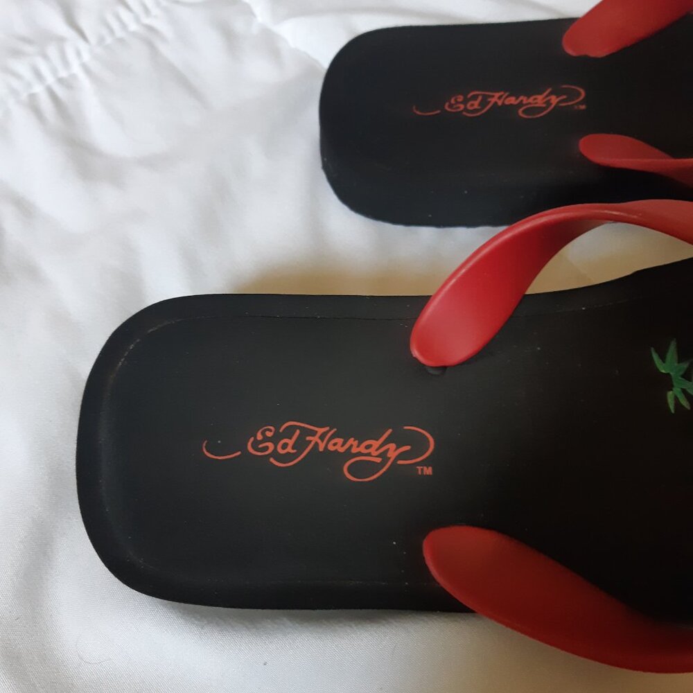Ed Hardy flops - Picture 5 of 9
